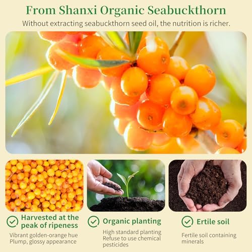 Hee Creek 100% Pure Sea Buckthorn Concentrate Juice 210ml/7.1oz Seabuckthorn Berry Pulp Puree Juice Raw Liquid Drink 有机沙棘原浆 沙棘果汁