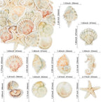 Gyufise 60Pcs Edible Sea Shell Cupcake Toppers Starfish Conch Seahorse SeaShell Cupcake Picks Edible Beach Party Decorations for Under the Sea Baby Shower Wedding Birthday Party Cake Decors Supplies