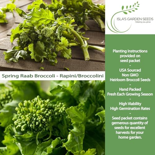 Spring Raab Broccoli Seeds (aka Rabe, Rapini, Broccolini) – 300+ Non-GMO & Heirloom Seeds, Brassica oleracea, Fast-Maturing Cool Season Green, by Isla’s Garden Seeds, Gift Idea for Home Gardens