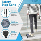 Stair Climbing Cane Lifts for Seniors Half Steps Assist Walking Sticks Elderly Stair Walker Devices Standing Aid Adjustable Mobile Portable Stairlifts 4 Prong Helper Up and Down Stairs