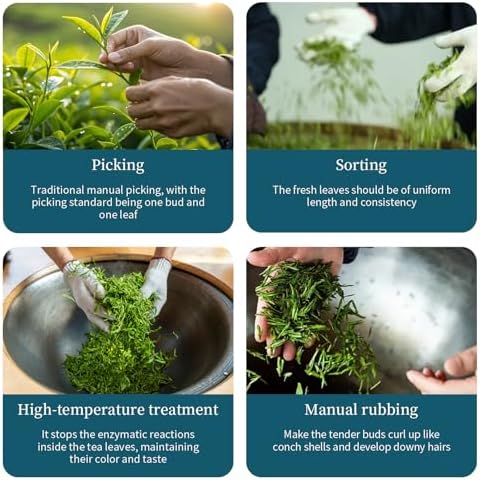 XIXICHA Biluochun Green Tea New Tea Grade AAA Dongting Bi Luo Chun Chinese Green Tea Loose Leaf Pi Luo Chun Floral And Fruity Fragrance （96 cups）碧螺春 绿茶 明前茶 120g/4.23oz