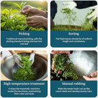 XIXICHA Biluochun Green Tea New Tea Grade AAA Dongting Bi Luo Chun Chinese Green Tea Loose Leaf Pi Luo Chun Floral And Fruity Fragrance （96 cups）碧螺春 绿茶 明前茶 120g/4.23oz