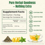 Hiihone Lemon Balm Tea Bags 20 Count – Pure & Natural Lemon Balm Tea, Caffeine-Free Herbal Tea, Calming & Soothing, Non-GMO, Fresh Citrusy Flavor