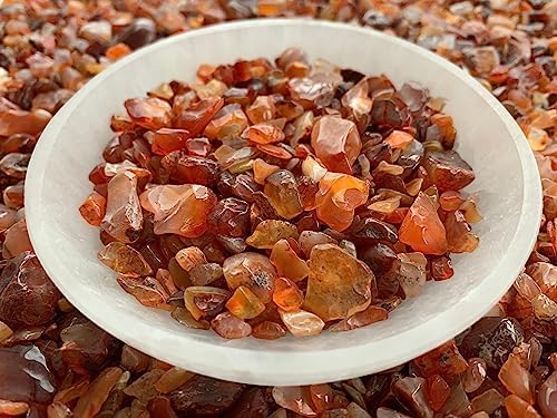WHOLESALE Natural Semi Tumbled Carnelian Gemstone Chips, Crushed Mini Crystals, Undrilled Crystal Chips (Carnelian, 10 Pounds)