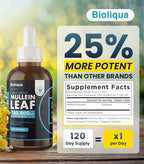 Balance Bioliqua Mullein Drops for Lungs - High Strength of 150,000mg per 4fl oz Tincture - 120 Servings at 1,250mg per Dose - Lung Detox & Bronchial Cleanse - Coconut Flavour