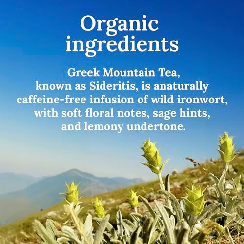 My Land Organic Greek Mountain Tea (Sideritis Scardica) – Loose Leaf Ironwort Handpicked on Mount Olympus, Greece, 1.76oz (50g) | Organic Caffeine-Free Herbal Tea with Floral & Earthy Notes