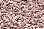 35 Pounds Cranberry Beans