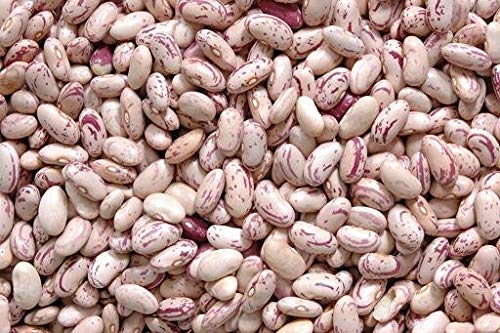 35 Pounds Cranberry Beans