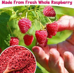Premium Freeze Dried Raspberries Pieces - 3.7Oz/105g Pure Dried Raspberries, Made From Whole Fresh Raspberries, No Sugar Added, Red Raspberries Pieces for Fruit Snacks, Baking