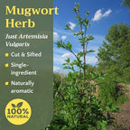 Mugwort Herb Tea - Dried Cut and Sifted Leaves Steams - Artemisia Vulgaris - Natural Mugwort Herbal Tea Loose Leaf Stem, Bulk 2 oz (56g)
