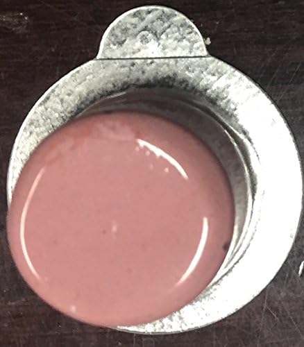 Bubble Gum Flavored Professional Strength Tooth Polish - Fine, 14 Cups