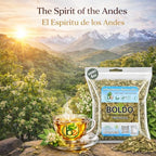 Hojas de Boldo (Boldus Dried Leaves) Herbal Tea – 4 oz (113 g) – 100% Natural, Vegan, Non-GMO – Loose Leaf Herbal Tea for Infusion – Traditional Natural Detox Support – Caffeine-Free – Packaged in USA – by BexpertsUSA