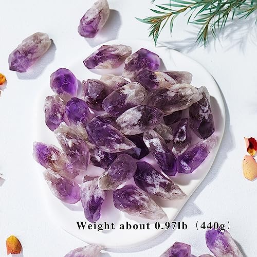 Apengshi 0.97 lb (440g) Natural Amethyst Crystal Points Irregular Rough Crystal Stone Raw Crystal Gemstones Bulk Chakra Stones Meditation Reiki Collect Handmade DIY