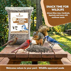 Striped Sunflower Seeds, Shelled Seeds for Birds – Premium Wildlife & Bird Food – Grown in USA - Striped Sunflowers for Backyard Feeders and Wild Birds (5 LB)