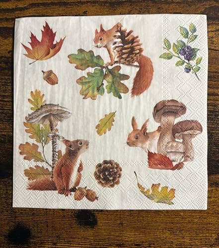 IHR Ideal Home Range Party Napkins Disposable 3-Ply Paper Lunch Napkin Pack, 6.5" x 6.5", Fall Squirrel, 20-Count