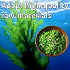 Premium Japanese Seaweed Salad Mix - Authentic Sesame Seasoned Variety Pack (3 Packs) | Gluten-Free Topping for Sushi Bowls, Ramen, Miso Soup & Asian Cuisine