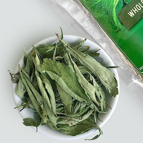 HerbaZest Sun-Dried Stevia Leaves – 6oz (170g) – Premium Whole Stevia Leaf – Naturally Sweeter Than Sugar – Zero-Calorie Sugar Substitute – Perfect for Tea, Coffee, and Other Beverages