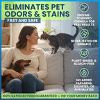 Stain & Odor Eliminator for Strong Odor, 32oz Enzyme Pet Odor Eliminator for Home, Carpet Stain Remover for Cats & Dog Pee, Enzymatic Cat Urine Destroyer, Carpet Cleaner Spray