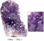 SUNYIK Natural Amethyst Quartz Crystal Cluster,Druzy Geode Specimen Gemstone Sculpture Sphere(1.3-1.5Ibs)