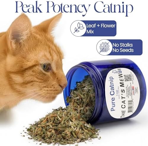 The Cat's MeWow 100% Pure Catnip – North American Grown – Strong Aroma for Play & Enrichment – Resealable Freshness Jar – Veteran-Owned Brand