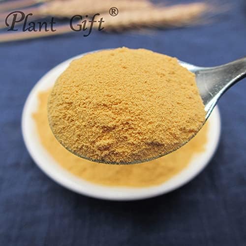 Natural Pure Dried Tangerine Peel Powder/陈皮粉 100g/3.52oz Dried Mandarin Orange Peel Powder, Tart & Sweet, From Juice