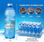 Sant'Anna Frizzante Sparkling Natural Mineral Water, 16.9 Fl Oz (24-Pack) | Pure Italian Alps Mountain-Fresh Drinking Water | Natural Functional Drink | Sodium-Free Mineral in BPA-Free Bottles