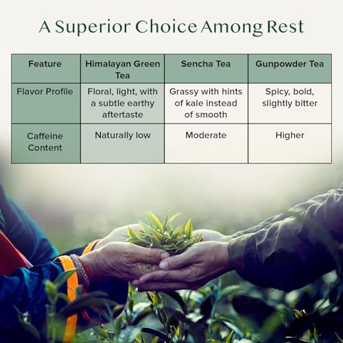 VAHDAM, Mint Green Tea Loose Leaf (50+ Cups, 3.5 oz) Cool Peppermint Tea With Himalayan Green Tea Leaves | Low Caffeine | High Elevation Grown | Vacuum Sealed for Freshness