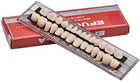Angzhili Dental Acrylic Resin Denture Tooth Kit False Tooth For Halloween Horror Prop 23 A2(28 Pcs/Set)