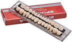 Angzhili Dental Acrylic Resin Denture Tooth Kit False Tooth For Halloween Horror Prop 23 A2(28 Pcs/Set)