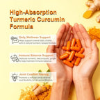 Biorootlabs Turmeric Curcumin Supplement 1000mg – 95% Curcuminoids with Ginger, Bee Propolis, Black Pepper, MCT Oil – High Absorption Formula for Wellness & Immune Support – 120 Capsules(1)