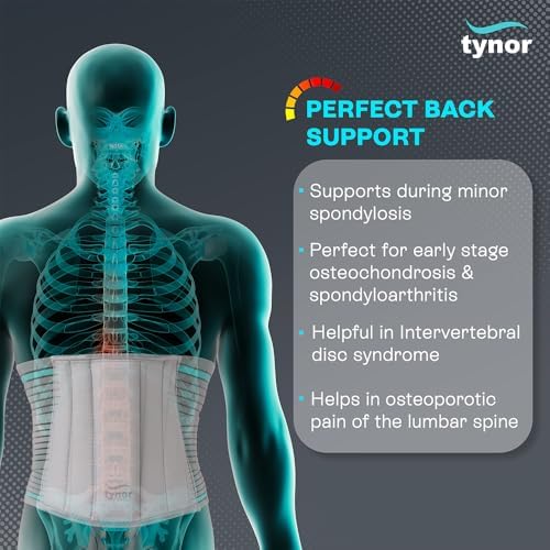 TYNOR Lumbar Support Belt Breathable Compression Lower Back Brace, Adjustable Waist Lumbar Support Brace for Men & Women, Herniated Disc, Sciatica, Back Pain & Heavy Lifting (Small, Grey)