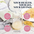 HAPPY FOX Organic Sea Moss Raw Gold - Makes 75oz of Seamoss Gel Rich in Vitamins & Minerals, Certified Non-GMO, Wildcrafted, Sundried Superfood - 3.5 oz Bag