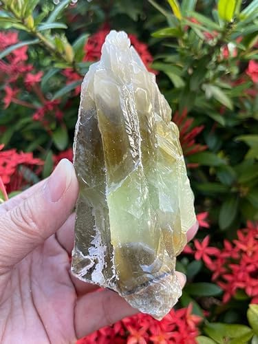 GAF TREASURES Extra Large Green Calcite Rough Natural Stones, Raw Calcite Green Crystals (0.25-0.5 Pounds)