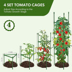 4PCS Tomato Cages for Garden, Tomato Trellis for Raised Garden Bed, 51.2" Tall Cage Plant Support for Pots, Gardening Supplies Trellis for Climbing Plants (4PCS，High: 51.2 Inch)