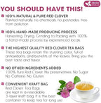FreshDrinkUS, Premium Red Clover Herbal Tea– 75 Tea Bags – Pure – Naturally Smooth & Mild Flavor – Premium Quality, Eco-Conscious Packaging. Caffeine-Free. Gluten Free. Vegan