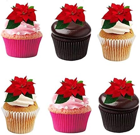 24 X PRE-CUT FLAT CHRISTMAS POINSETTIA FLOWER RICE/WAFER PAPER EDIBLE CUPCAKE TOPPERS PARTY DECORATION