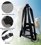 Calf Sling for Weighing Animals - Calf Scale Hanging Weight Scale Sling with Adjustable Straps for Weighing Calves Lambs Goats Baby Alpacas Newborn Livestock Dogs