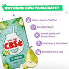 CBSe Yerba Mate Valley Fruits – 500g (1.1 lb) Loose Leaf Herbal Tea – Argentine Yerba with Natural Mixed Fruit Flavor – Smooth, Fruity, Refreshing