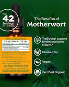 Herb Pharm Certified Organic Motherwort Liquid Extract for Endocrine System Support - 1 Ounce