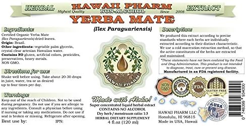 Hawaii Pharm Yerba Mate Alcohol-Free Liquid Extract, Professional Grade, Small Batch Crafted Yerba Mate (Ilex Paraguariensis) Dried Leaf Glycerite Natural Herbal Supplement, 2x2 fl.oz