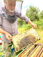 Premium Greek Oak Honey from Evrytania, Award-Winning, Mountain-Sourced, 33.51 oz (950g)