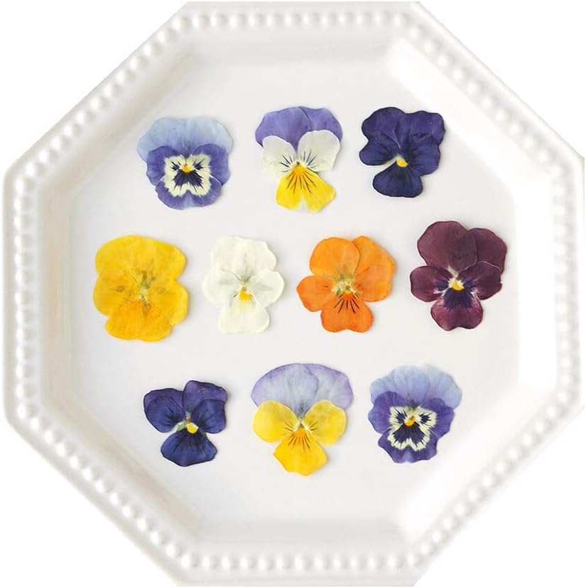 Uzunohana Dried Edible Flowers Viola Mix (50 Petals) | For Cake Decorating | For Garnish | For Culinary | For Cocktail!