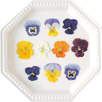 Uzunohana Dried Edible Flowers Viola Mix (50 Petals) | For Cake Decorating | For Garnish | For Culinary | For Cocktail!