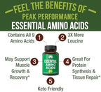 All 9 Essential Amino Acids Supplement. Capsules with 3X More Leucine for Muscle Recovery, Growth. EAA Supplement Better Than BCAA / BCAAS Branched Chain Aminos Acid. USA Tested EAAs for Men + Women