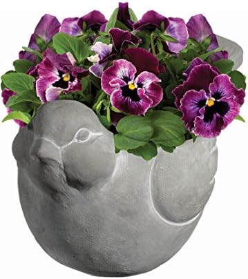 Classic Home and Garden Cement Buddies Animal Planter - Cute Desk Decoration - UV Coated Animal Vase w/Removable Drain Plug - Succulent Planter for Indoor/Outdoor Use (Bird Planter, Natural, Small)