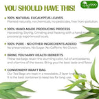 TOG999, Premium 100 Eucalyptus Leaf Tea Bags, 100% Natural & Pure Eucalyptus Leaves. Loose Leaf Eucalyptus Herbal Tea. Eucalyptus Leaf Tea. No Sugar, No Caffeine, No Gluten, Vegan.
