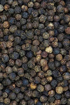India Tree Tellicherry Pepper Pantry, 17.6 Ounce