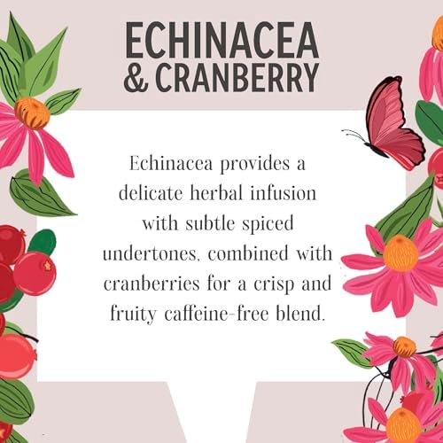 Heath & Heather Organic Echinacea & Cranberry Infusion 20 bags