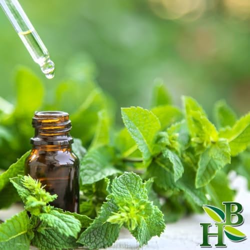 Herb To Body Peppermint Leaf C/S - Mentha Piperita, Cut & Sifted for Peppermint Loose Leaf Tea, Herbal Tea, Infusions, Crushed Peppermint, and Culinary Recipes, Resealable Pouch 4 oz