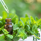 Herb To Body Peppermint Leaf C/S - Mentha Piperita, Cut & Sifted for Peppermint Loose Leaf Tea, Herbal Tea, Infusions, Crushed Peppermint, and Culinary Recipes, Resealable Pouch 4 oz